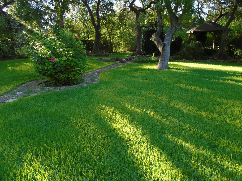 Acorn Bed And Breakfast Boerne Exterior photo